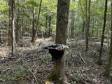 0 Graves Road - Photo 38