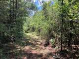  Hwy 48 - Photo 2