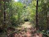  Hwy 48 - Photo 3