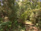  Hwy 48 - Photo 4