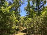  Hwy 48 - Photo 9