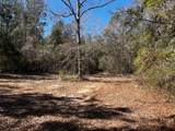 Lot #4 Jessie Stogner Road - Photo 3