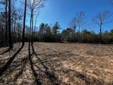 Lot #3 Jessie Stogner Road - Photo 6