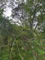 1500 Robb Street - Photo 37