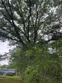 1500 Robb Street - Photo 39