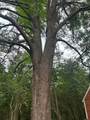 1500 Robb Street - Photo 43