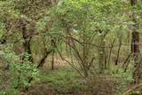 144 Don Curt Boulevard - Photo 57