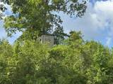 0 Off Hutson Morris Road - Photo 4