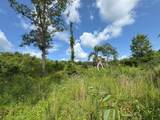 0 Off Hutson Morris Road - Photo 7