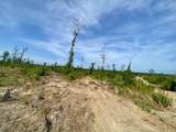 00 Dewitt Lane - Photo 12
