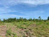 00 Dewitt Lane - Photo 13