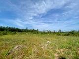 00 Dewitt Lane - Photo 15