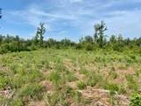 00 Dewitt Lane - Photo 19