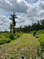 00 Dewitt Lane - Photo 2