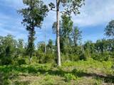 00 Dewitt Lane - Photo 21