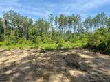 00 Dewitt Lane - Photo 22