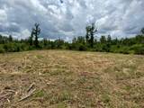 00 Dewitt Lane - Photo 3