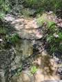 00 Dewitt Lane - Photo 4