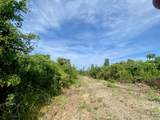 00 Dewitt Lane - Photo 7