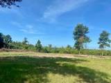 00 Dewitt Lane - Photo 1