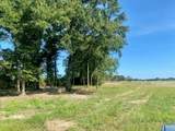 00 Dewitt Lane - Photo 3