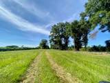 00 Dewitt Lane - Photo 5