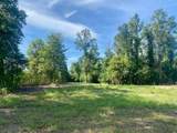00 Dewitt Lane - Photo 7