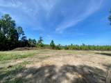 00 Dewitt Lane - Photo 8