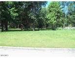 0 Tommy Munro Drive - Photo 1