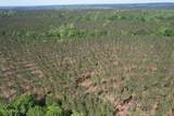  Co Rd 5033 - Photo 11