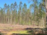  Co Rd 5033 - Photo 21