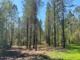  Co Rd 5033 - Photo 26