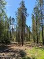  Co Rd 5033 - Photo 29