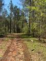  Co Rd 5033 - Photo 30