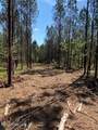  Co Rd 5033 - Photo 31