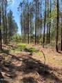  Co Rd 5033 - Photo 32