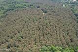  County Road 227 - Photo 1