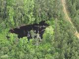  Old Pickens Rd Road - Photo 11