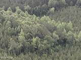  Old Pickens Rd Road - Photo 14