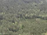  Old Pickens Rd Road - Photo 17