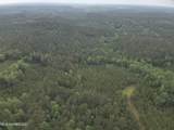  Old Pickens Rd Road - Photo 18
