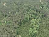  Old Pickens Rd Road - Photo 20