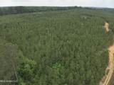  Old Pickens Rd Road - Photo 3