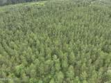  Old Pickens Rd Road - Photo 5