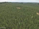  Old Pickens Rd Road - Photo 6