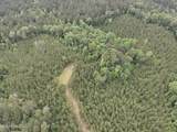  Old Pickens Rd Road - Photo 9