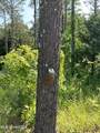  County Rd 323 - Photo 25