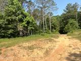  County Rd 323 - Photo 30