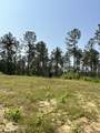 County Rd 323 - Photo 38