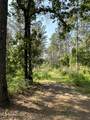  County Rd 323 - Photo 39